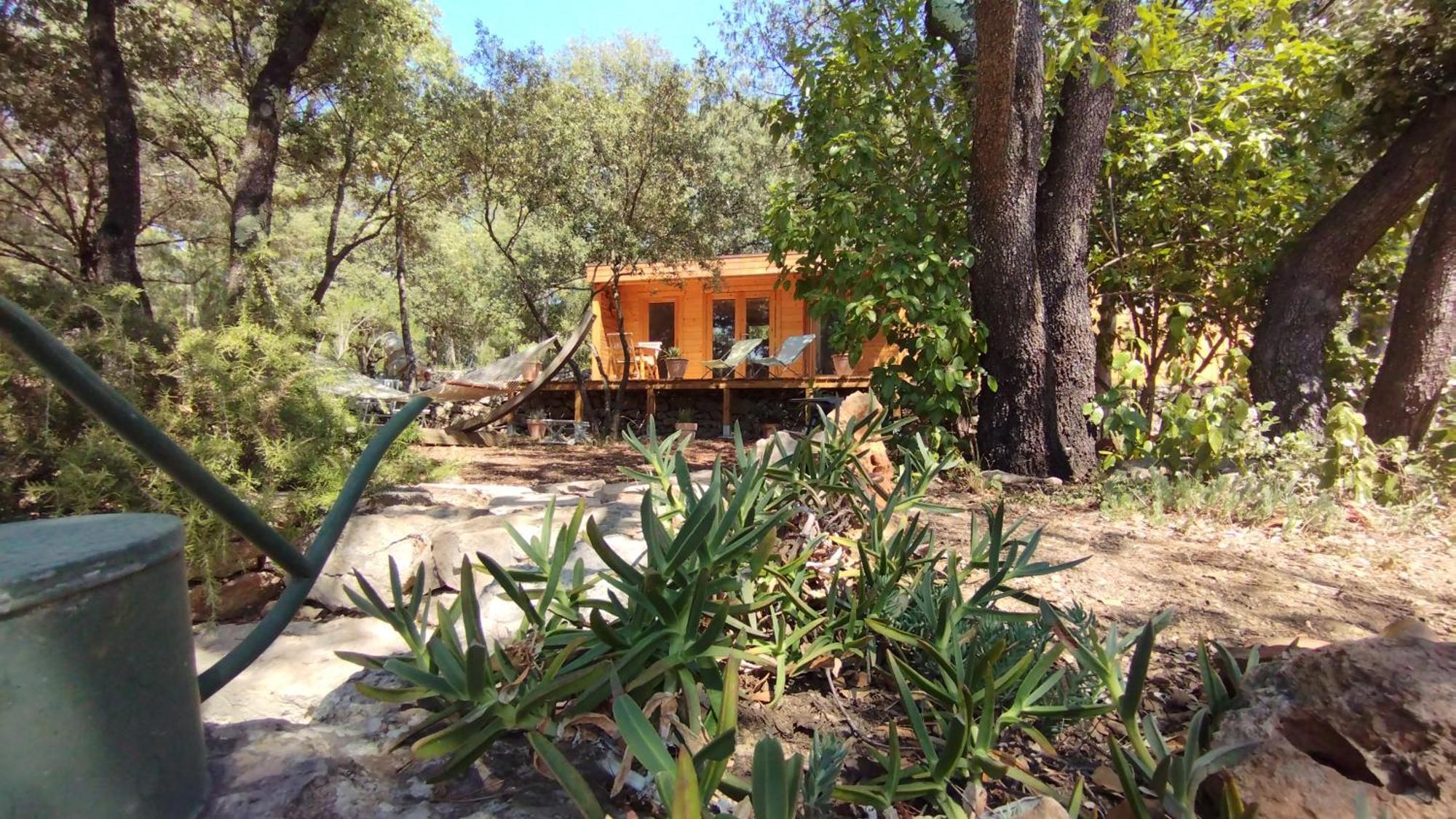 Bed and Breakfast La Bergerie Des Colles Entrecasteaux Exteriér fotografie